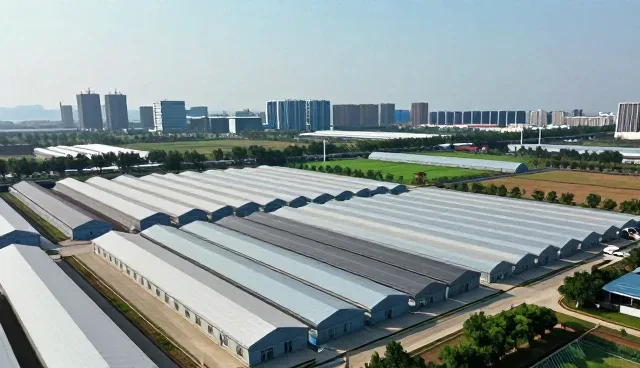 企业选型时关注运维托管的四大核心要素